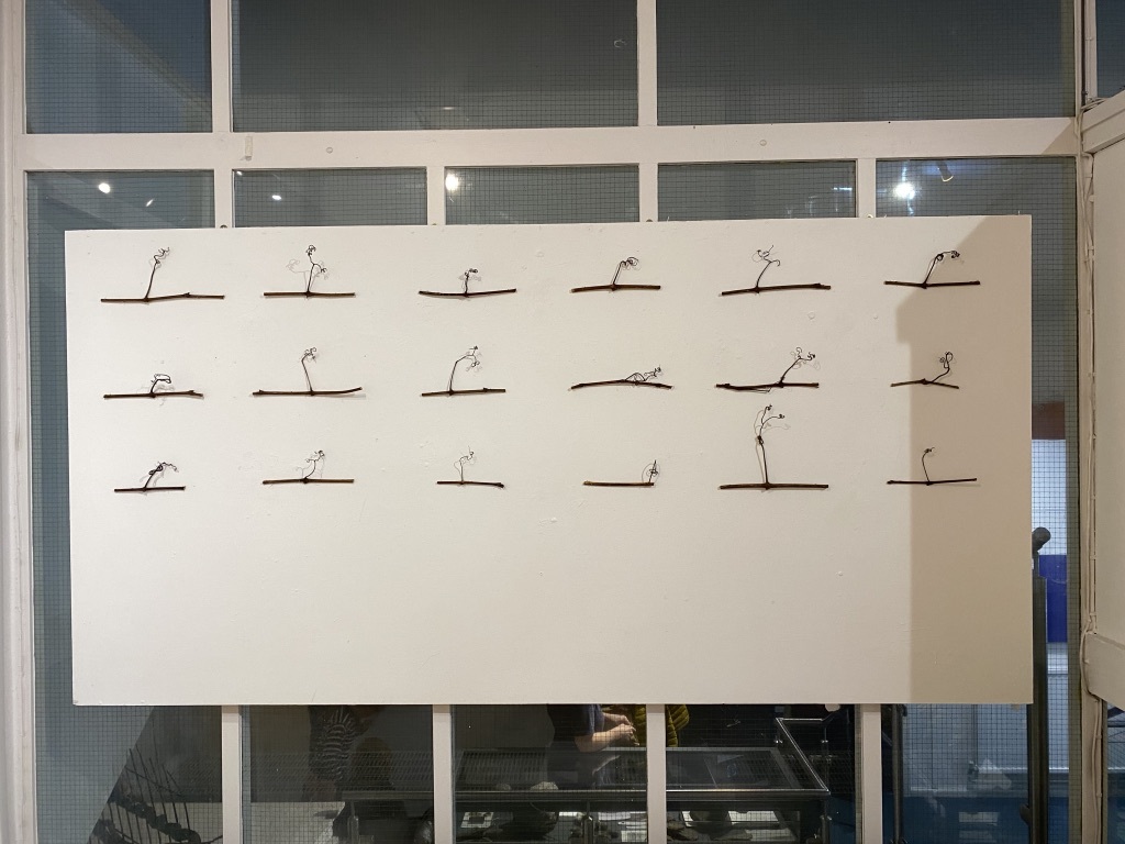 UNADJUSTEDNONRAW thumb 17f86