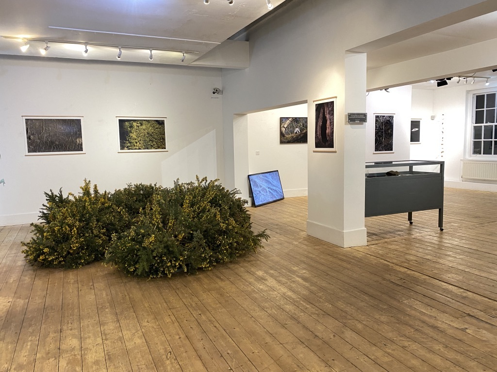 UNADJUSTEDNONRAW thumb 17f88