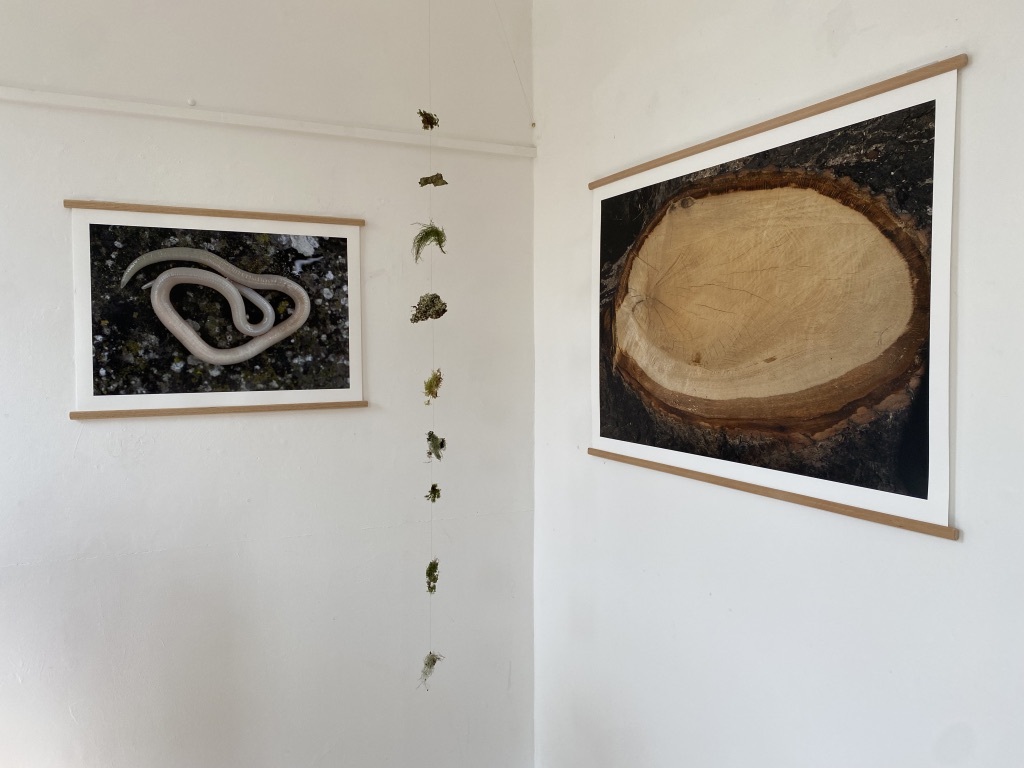 UNADJUSTEDNONRAW thumb 18599