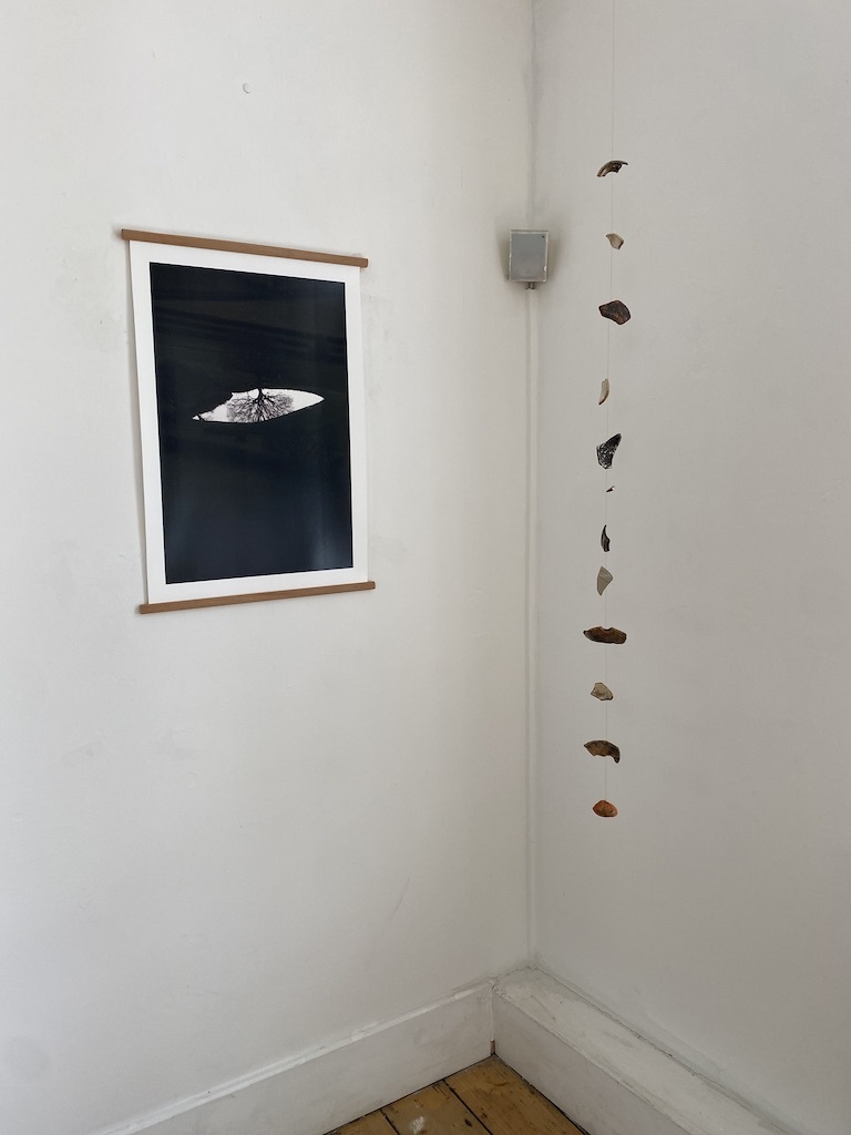 UNADJUSTEDNONRAW thumb 1859b