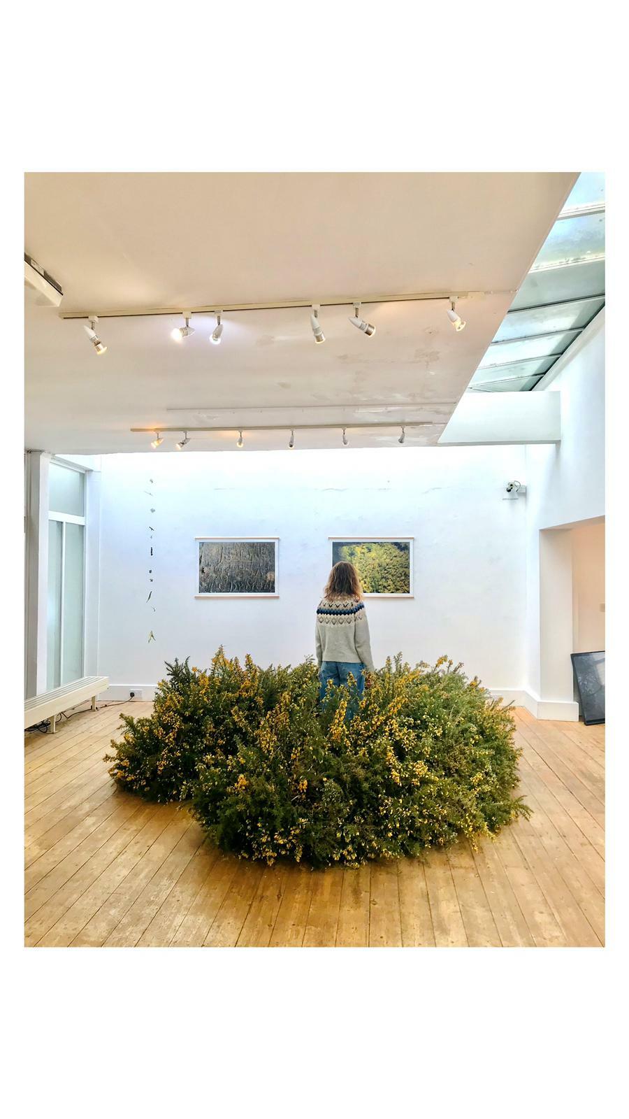 Whats App Image 2023 04 06 at 08 13 17